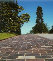 Negative, Sheet Film